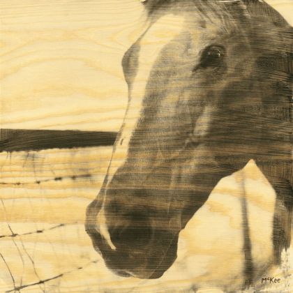 Picture of PORTRAIT OF A HORSE