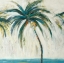 Picture of PALMS I