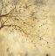 Picture of TRANQUILITY I