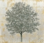 Picture of NEUTRALITY SILVER