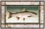 Picture of RAINBOW TROUT BIRCH BORDER