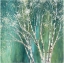 Picture of BLUE BIRCH GREEN