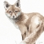 Picture of FOREST FRIENDS V