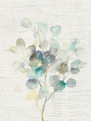 Picture of EUCALYPTUS III VINTAGE