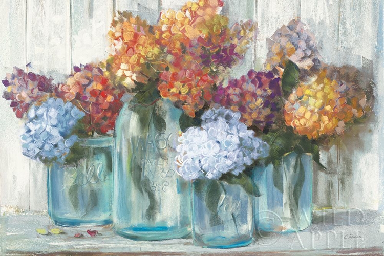 Picture of FALL HYDRANGEAS IN GLASS JAR CROP