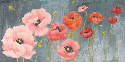 Picture of POPPY PARTY