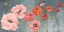 Picture of POPPY PARTY
