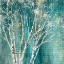 Picture of BLUE BIRCH FLIPPED