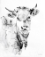 Picture of VILLAGE COW GRAY