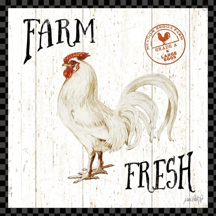 Picture of FREE RANGE FRESH III CHECKER BORDER