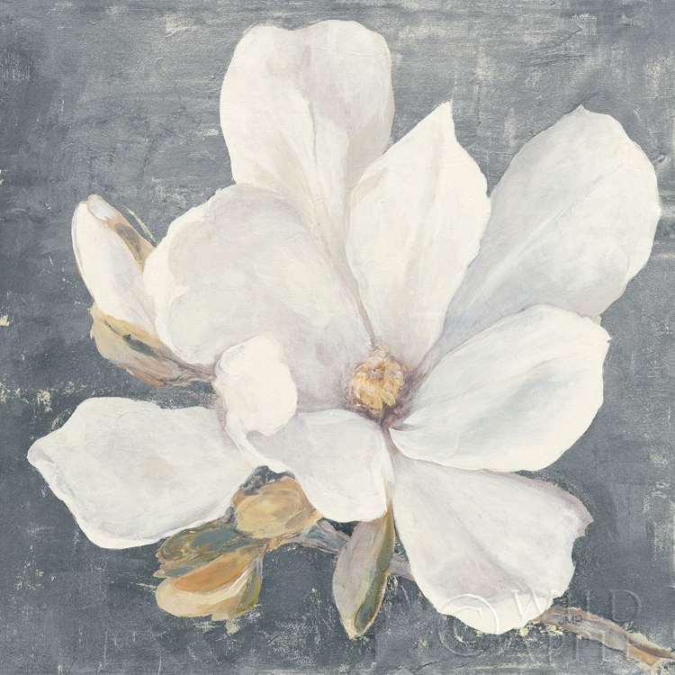 Picture of SERENE MAGNOLIA GRAY