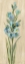 Picture of FARM FLOWER IV