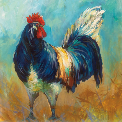 Picture of COCKY
