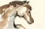 Picture of HORSE HEAD I