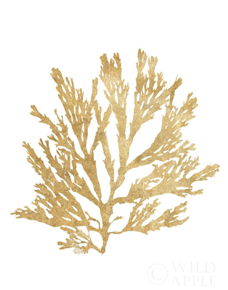 Picture of PACIFIC SEA MOSSES I GOLD