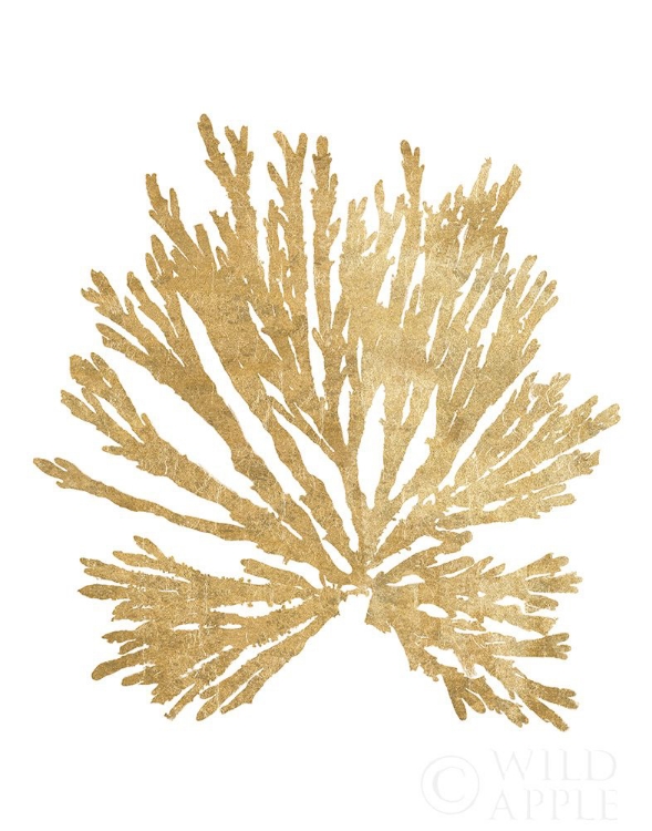 Picture of PACIFIC SEA MOSSES II GOLD