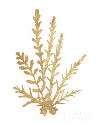Picture of PACIFIC SEA MOSSES III GOLD