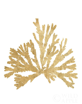 Picture of PACIFIC SEA MOSSES IV GOLD