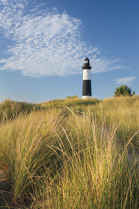 Picture of BIG SABLE POINT LIGHTHOUSE I