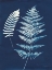 Picture of NATURE BY THE LAKE - FERNS V