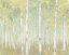 Picture of SYLVAN BIRCHES