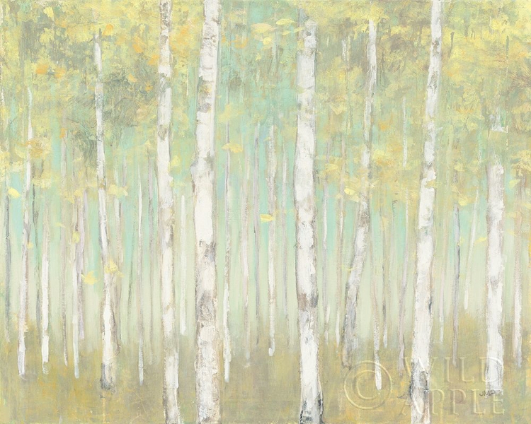 Picture of SYLVAN BIRCHES