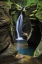 Picture of CORKSCREW FALLS OHIO
