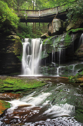 Picture of ELAKALA FALLS WEST I