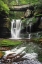 Picture of ELAKALA FALLS WEST I