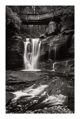 Picture of ELAKALA FALLS WEST I BW