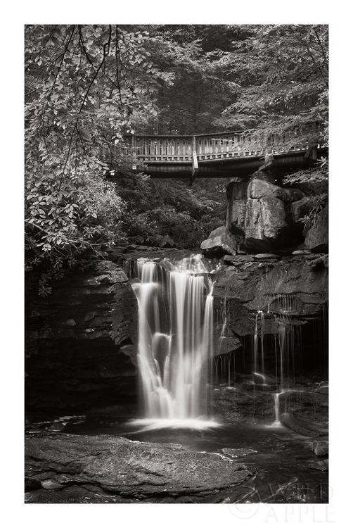 Picture of ELAKALA FALLS WEST II BW