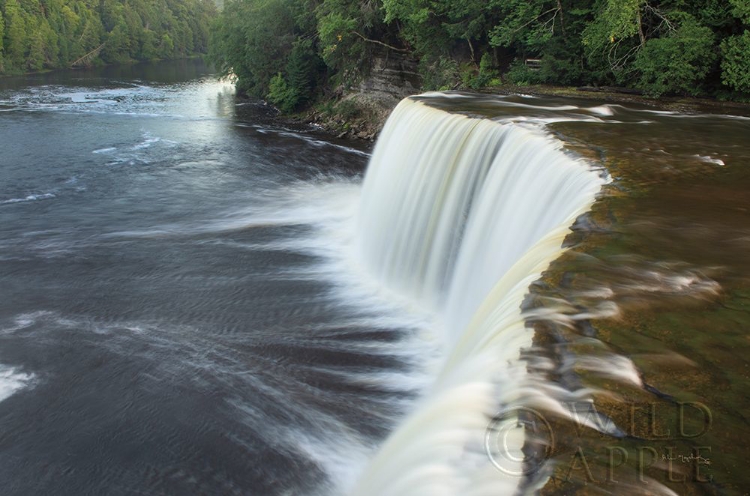 Picture of TAHQUAMENON FALLS MICHIGAN I