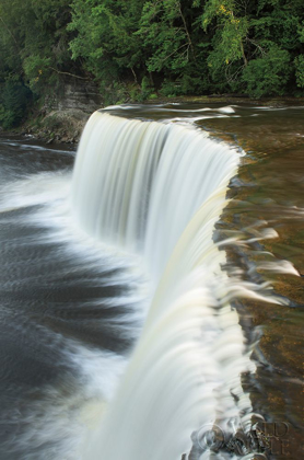 Picture of TAHQUAMENON FALLS MICHIGAN II