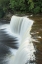 Picture of TAHQUAMENON FALLS MICHIGAN II