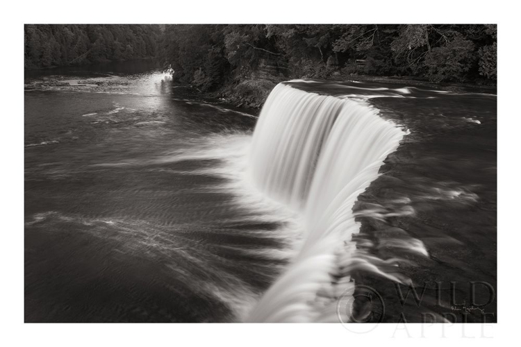 Picture of TAHQUAMENON FALLS MICHIGAN I BW