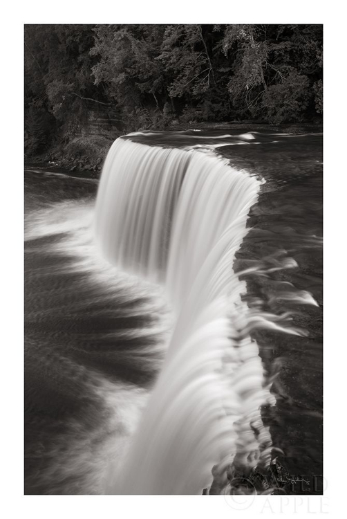 Picture of TAHQUAMENON FALLS MICHIGAN II BW