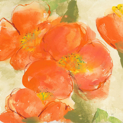 Picture of TANGERINE POPPIES I