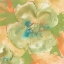 Picture of OLIVE POPPY I