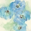 Picture of JAPANESE QUINCE I