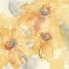 Picture of GOLDEN CLEMATIS II