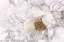 Picture of BLOOMING SKETCH