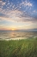 Picture of LAKE MICHIGAN SUNSET I