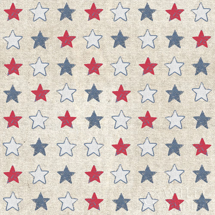 Picture of PATRIOTIC DARK PATTERN IIA
