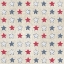 Picture of PATRIOTIC DARK PATTERN IIA