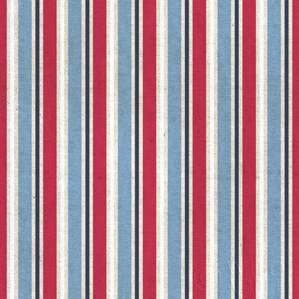 Picture of PATRIOTIC DARK PATTERN III