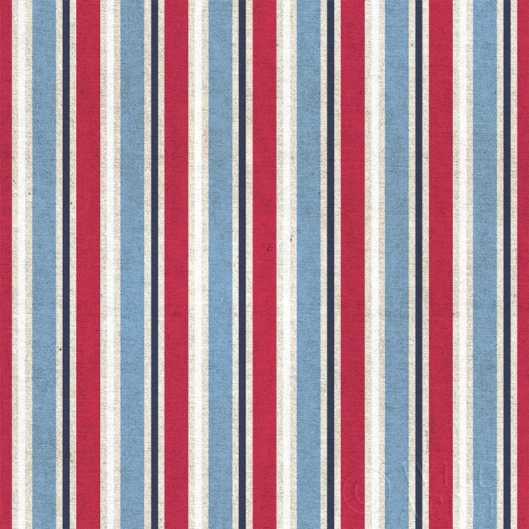 Picture of PATRIOTIC DARK PATTERN III