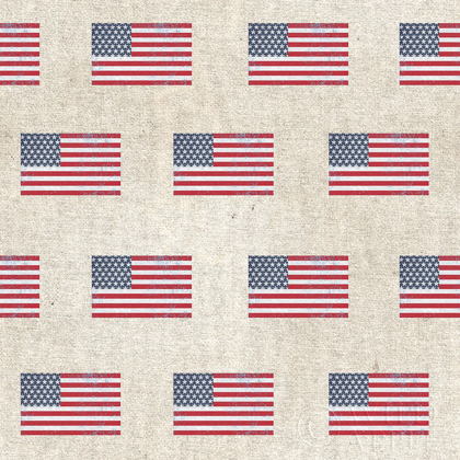 Picture of PATRIOTIC DARK PATTERN V