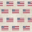 Picture of PATRIOTIC DARK PATTERN V