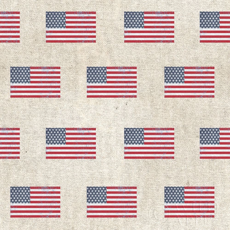 Picture of PATRIOTIC DARK PATTERN V