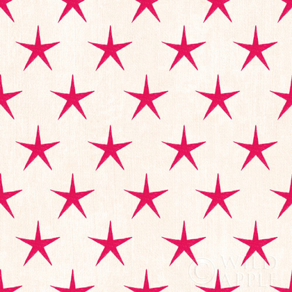 Picture of STARS AND STRIPES DARK PATTERN IXB